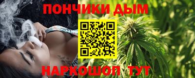 шишки Будённовск