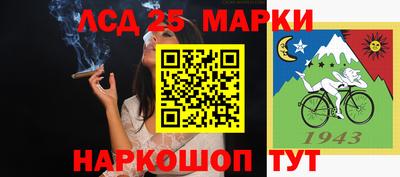 шишки Будённовск