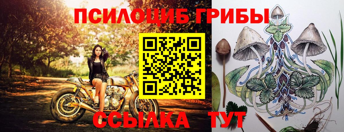 Галлюциногенные грибы Magic Shrooms Лыткарино