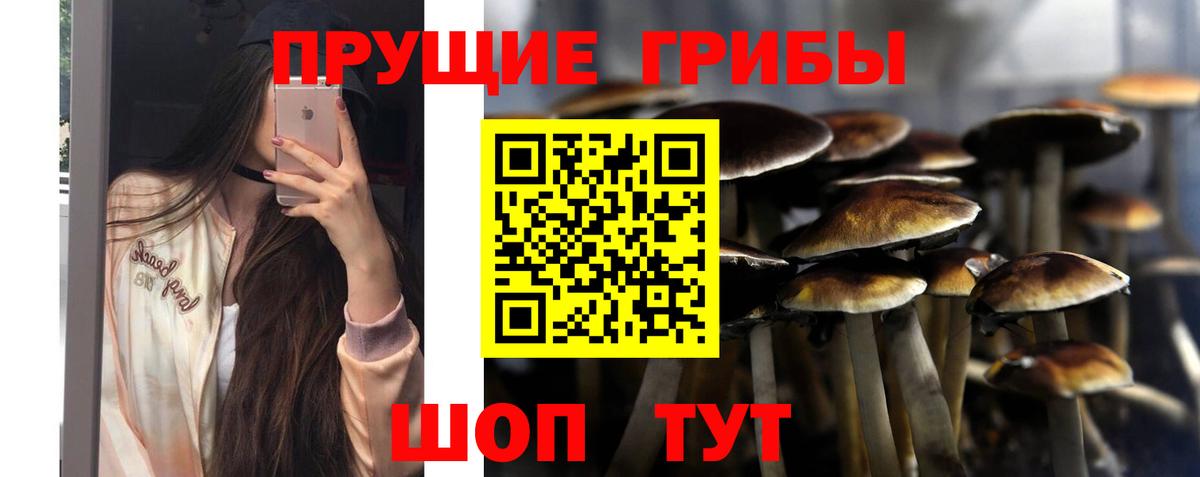 Галлюциногенные грибы Psilocybine cubensis  Галлюциногенные грибы GOLDEN TEACHER  Вход с VPN  Лыткарино 